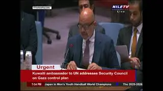 UN Security Council meets on Israel's Gaza control plan 10 8 2025