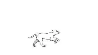 dog 2D animation running cycle