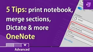 Microsoft Onenote: пять советов, включая печать блокнота и создание подстраниц от Криса Менарда