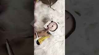 Mini  fan makeup mirror #meesho#unboxing #under#Rs.250#shorts #viral #makeup #lover #trending