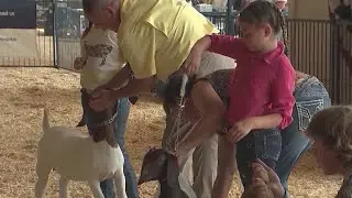 Attendance up at TN State Fair despite heat