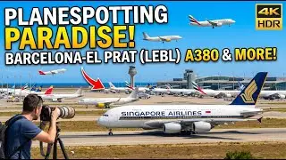 The King is Here! 👑 Singapore Airlines A380 Smooth Landing at Barcelona