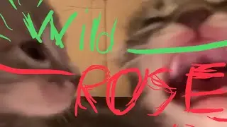 Wild Rose // Galaxxyss - Para - Lexy - StarkyTheSalad [Extreme Demon]