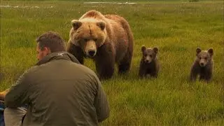 Bears of the Last Frontier | The Road North (Wildlife Documentary)