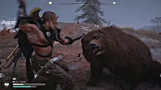 Assassin's Creed Valhalla - Bear Attack Fight & Stealing Bear Testicles (Assassin's Creed 2020)