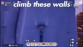 Palia *BUG WORKAROUND* bahari bay e8 chest