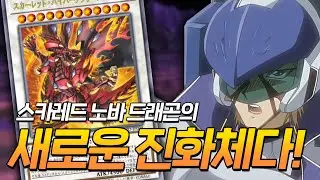 쿼드러플 튜닝이라고?! [킹 신지원 살펴보기]