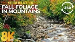 🌿 8K Nature Relaxation Live 🌄 Fall Foliage Mountains | Calm River Sounds | 360&deg; Scenic View