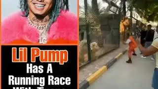 #lilpump aka #lilpumpjetski Wildin with Tigers in DUBAI 😭🏃🏻&zwj;♂️ Who won?