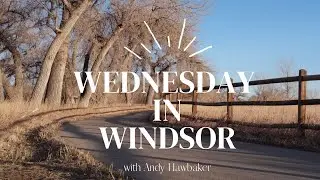 Where Are the Grocery Stores in Windsor, Colorado? [Wednesday in Windsor]