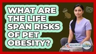 What Are The Life Span Risks Of Pet Obesity?