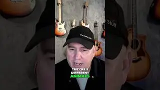 Mini Humbuckers vs  P90s  Which Pickup Is BEST?