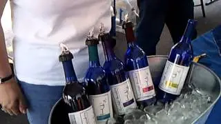 2012 Jun 2nd Wine Festival W S Downtown 010