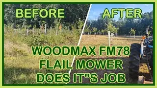 Сможет ли косилка-измельчитель WOODMAX FM78 справиться с этим заброшенным каштановым садом?