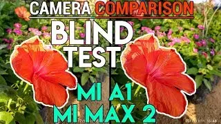 Xiaomi Mi A1 Vs Mi Max 2 BLIND TEST Camera Comparison & Review
