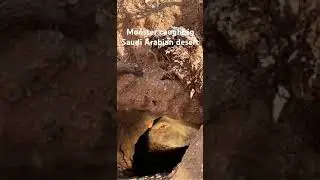 Monster Caught in Saudi Arabian desert