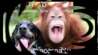 Другу Слайд шоу