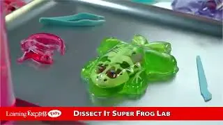LDT1085   Dissect It Super Frog Lab 02