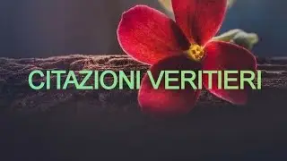 Citazioni veritieri