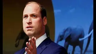 'Chill out and fall back!' Prince William under fire as Duke suffers brutal dig