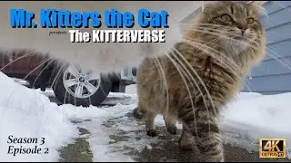 Mr. Kitters the Cat presents The Kitterverse! Season 3 Episode 2 It's Showtime! ❄️📣🐈