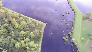 DJI Phantom Pro - Trinity and Longleaf, Florida - 4 of 11 - August 31, 2017