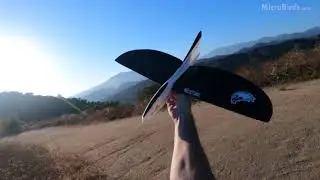 Here is a funny looking slope glider, ultralight with rounded ailerons