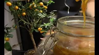 Варенье из плодов Calamondino! гибрид мандарина и кумквата