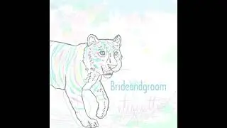 Brideandgroom - Lifeguard-er