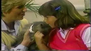 Hartz Flea and Tick Collar Commercial   The Collar to get if you're close to your pet 1986