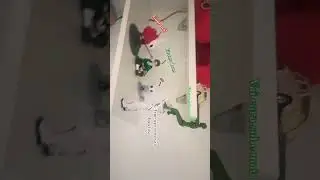 toy story na vida real ksksk ( deixa o like e se inscreve no canal #memes