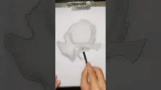 Temporal bone #anatomy #temporal #head