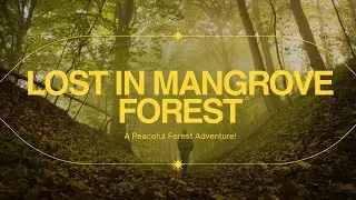 We invaded a bat cave | Exploring mangrove forest for the first time | Back with Malaysia series 🇲🇾 