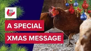 A Special Christmas Message From Jane Howorth, Founder of the BHWT