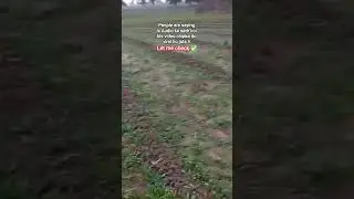 Just checking people abilities #viral #farming #natural