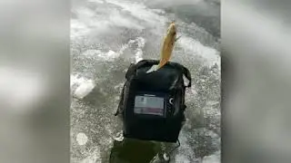 Wisconsin Dells early ice fishing 2019-2020. Extended!