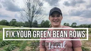 How To Fix Your Green Bean Rows | Transplant Instead of Thinning Your Bush Beans Ep. 44
