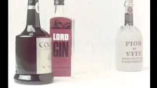 Grappa stravecchia fior di vite ramazzotti Conversazioni alcoliche