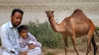 BalochibProgram Radio Turbat Qadeer Wahid Balochv6 February 2025