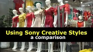 Using Sony Creative Styles -- a comparison  (for YouTube Content Creators)
