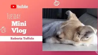 La vita di una content creator lifestyle in 4 minuti 😅📱💻