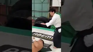 Aikido master throws a professional wrestler!