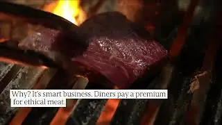 Sustainable Steaks: Lexington, MA Restaurants Answer The Call For Ethical Eating
