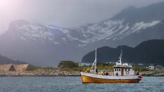 The Carlson Omega-3 Fish Oil Story