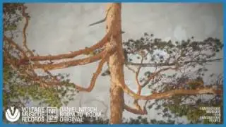 Daniel Nitsch - Room to Room - VMR029