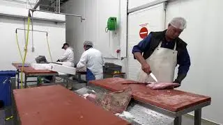 ZEEBRUGGE - Visgroothandel Chef's Secret