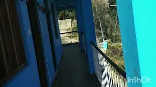 #home#joshimath #uttrakhand #nature #happiness #family#mymonkey  🌲⛰️