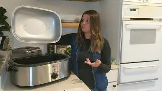 Sunvivi Electric Roaster(HE-Y02WH-OP)