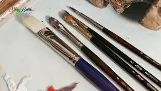 Set de Pinceles ESENCIALES por ALEJANDRO BARR&Oacute;N y SILVER BRUSH
