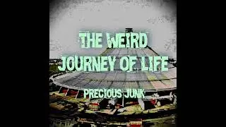 Precious Junk - Splifff
